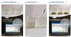 cod降解剂的投加效果_金年会环保