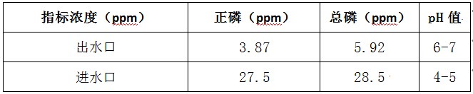 豆制品除磷的浓度检测