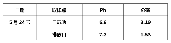 污水中磷的去除-现场情况