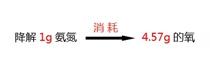 氨氮降解所需氧的比值_金年会环保